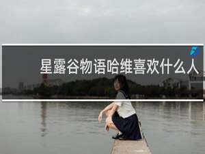 星露谷物语哈维喜欢什么人