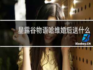 星露谷物语哈维婚后送什么