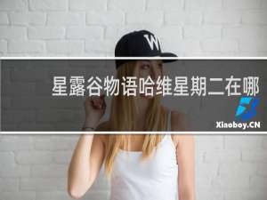 星露谷物语哈维星期二在哪