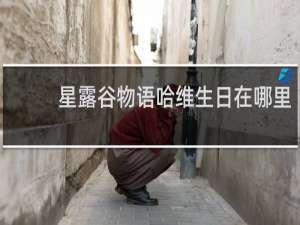 星露谷物语哈维生日在哪里