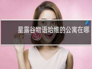 星露谷物语哈维的公寓在哪