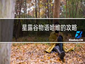 星露谷物语哈维的攻略