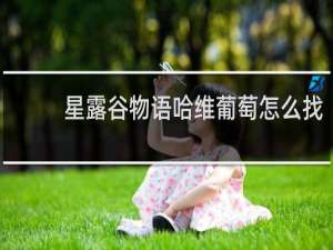 星露谷物语哈维葡萄怎么找