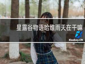 星露谷物语哈维雨天在干嘛