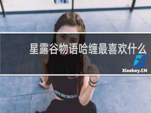 星露谷物语哈缠最喜欢什么