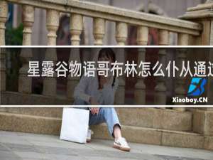 星露谷物语哥布林怎么仆从通过