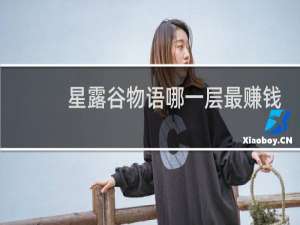 星露谷物语哪一层最赚钱