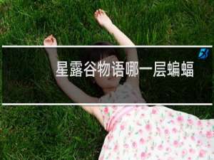 星露谷物语哪一层蝙蝠