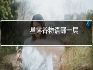 星露谷物语哪一层