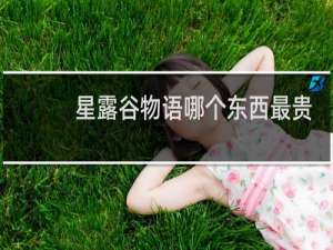 星露谷物语哪个东西最贵