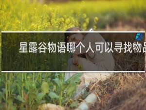 星露谷物语哪个人可以寻找物品