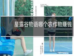 星露谷物语哪个农作物赚钱