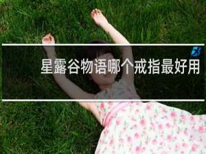 星露谷物语哪个戒指最好用
