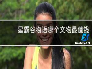 星露谷物语哪个文物最值钱