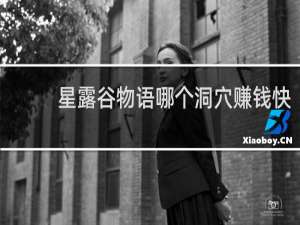 星露谷物语哪个洞穴赚钱快