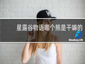 星露谷物语哪个熊是干嘛的