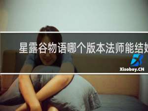 星露谷物语哪个版本法师能结婚