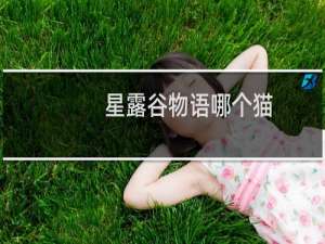 星露谷物语哪个猫