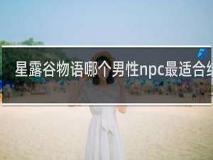 星露谷物语哪个男性npc最适合结婚