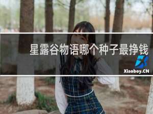 星露谷物语哪个种子最挣钱