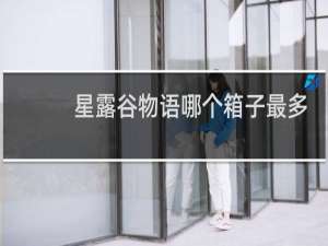星露谷物语哪个箱子最多