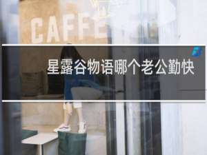 星露谷物语哪个老公勤快