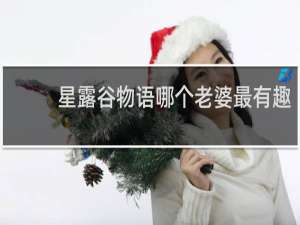 星露谷物语哪个老婆最有趣