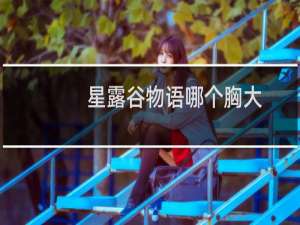 星露谷物语哪个胸大