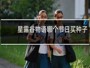 星露谷物语哪个节日买种子