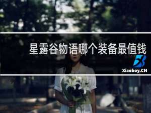 星露谷物语哪个装备最值钱