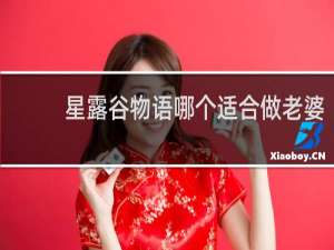 星露谷物语哪个适合做老婆