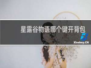 星露谷物语哪个键开背包