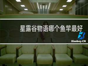 星露谷物语哪个鱼竿最好