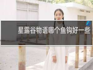 星露谷物语哪个鱼钩好一些