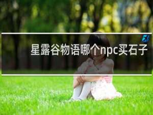 星露谷物语哪个npc买石子