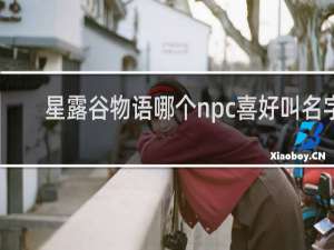 星露谷物语哪个npc喜好叫名字