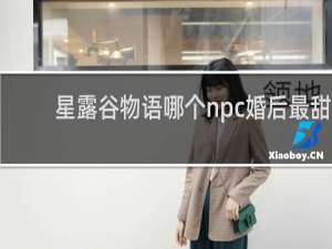 星露谷物语哪个npc婚后最甜
