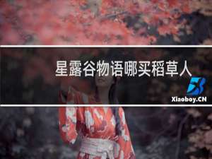 星露谷物语哪买稻草人