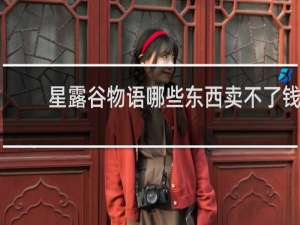 星露谷物语哪些东西卖不了钱