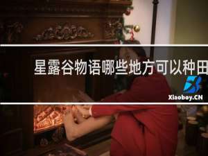 星露谷物语哪些地方可以种田