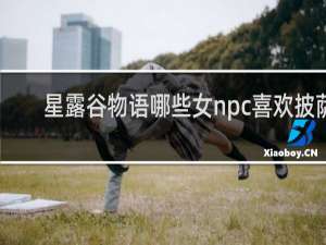 星露谷物语哪些女npc喜欢披萨