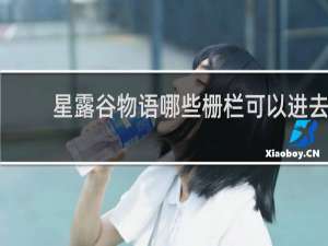 星露谷物语哪些栅栏可以进去