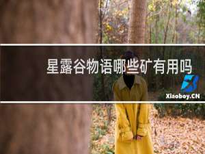 星露谷物语哪些矿有用吗