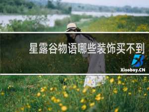 星露谷物语哪些装饰买不到