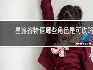 星露谷物语哪些角色是可攻略