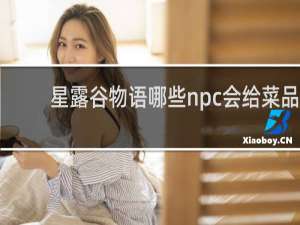 星露谷物语哪些npc会给菜品