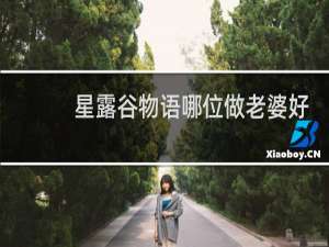 星露谷物语哪位做老婆好