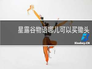 星露谷物语哪儿可以买锄头