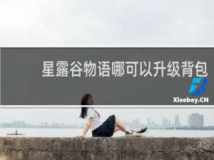 星露谷物语哪可以升级背包