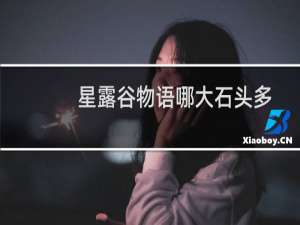 星露谷物语哪大石头多
